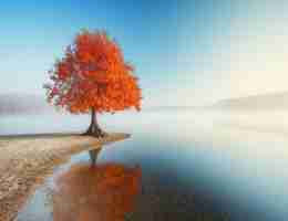 自‍动﻿语﻿音​识‌别​软​件​